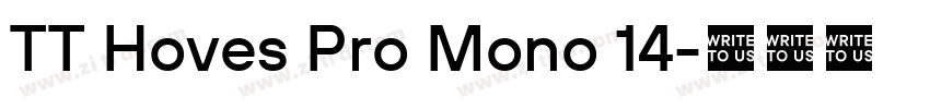 TT Hoves Pro Mono 14字体转换